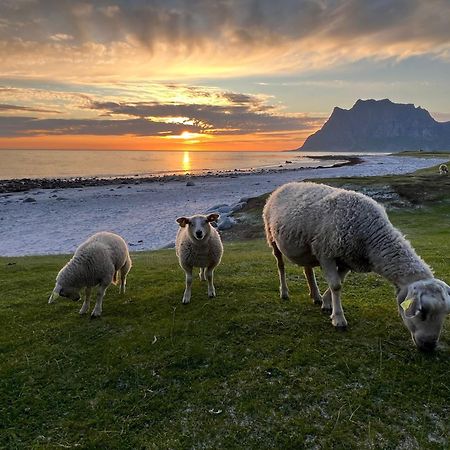 Fisherman'S Cabin, Lofoten - 24 Bardbua Баллстад Экстерьер фото